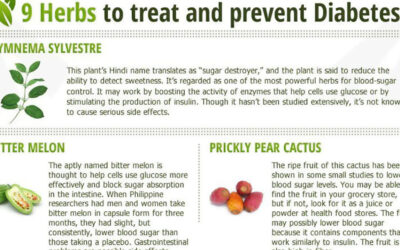 9 Herbs To Treat And Prevent Diabetes Infographic F