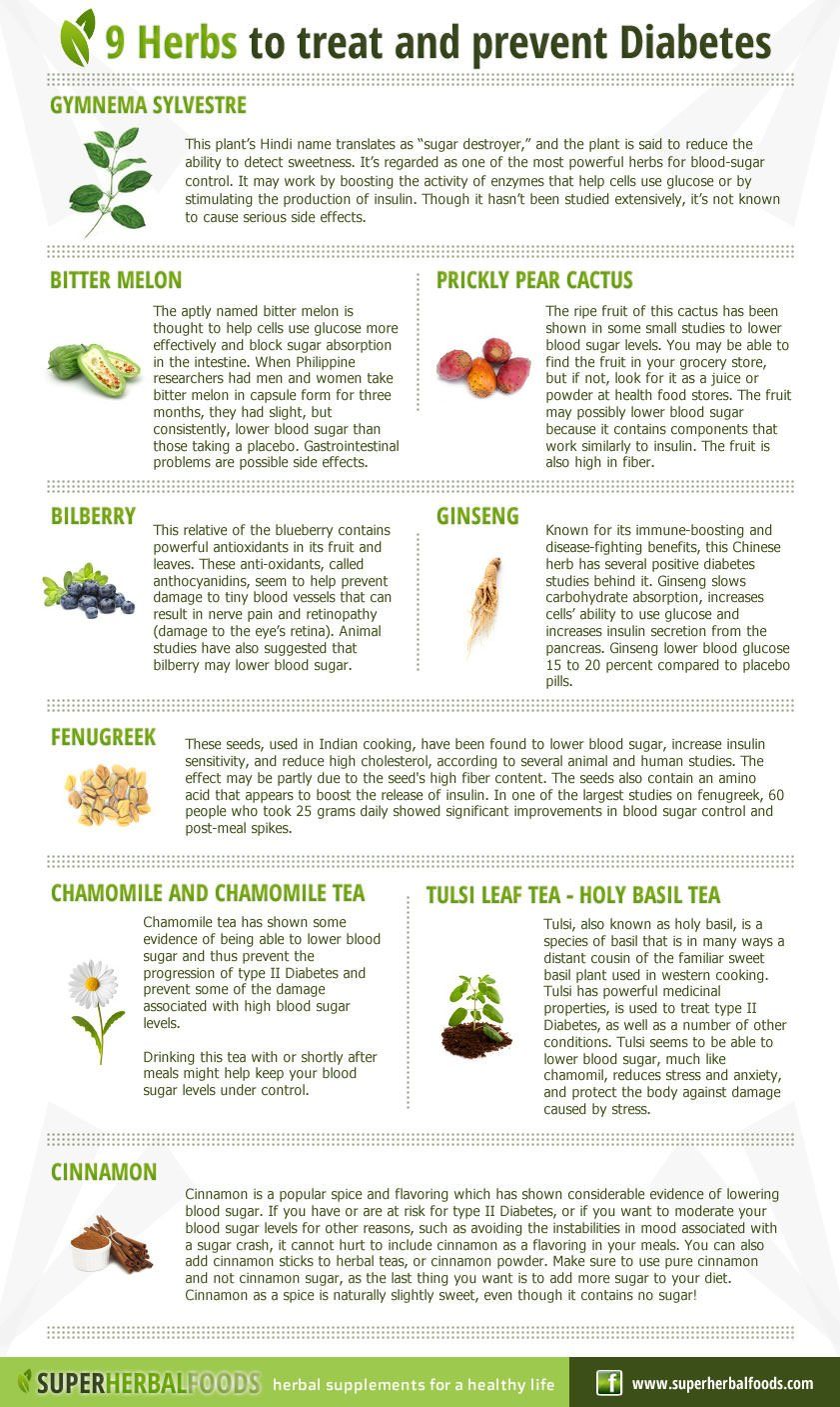 9 Herbs To Treat And Prevent Diabetes Infographic