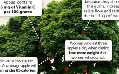 An Apple A Day Infographic F