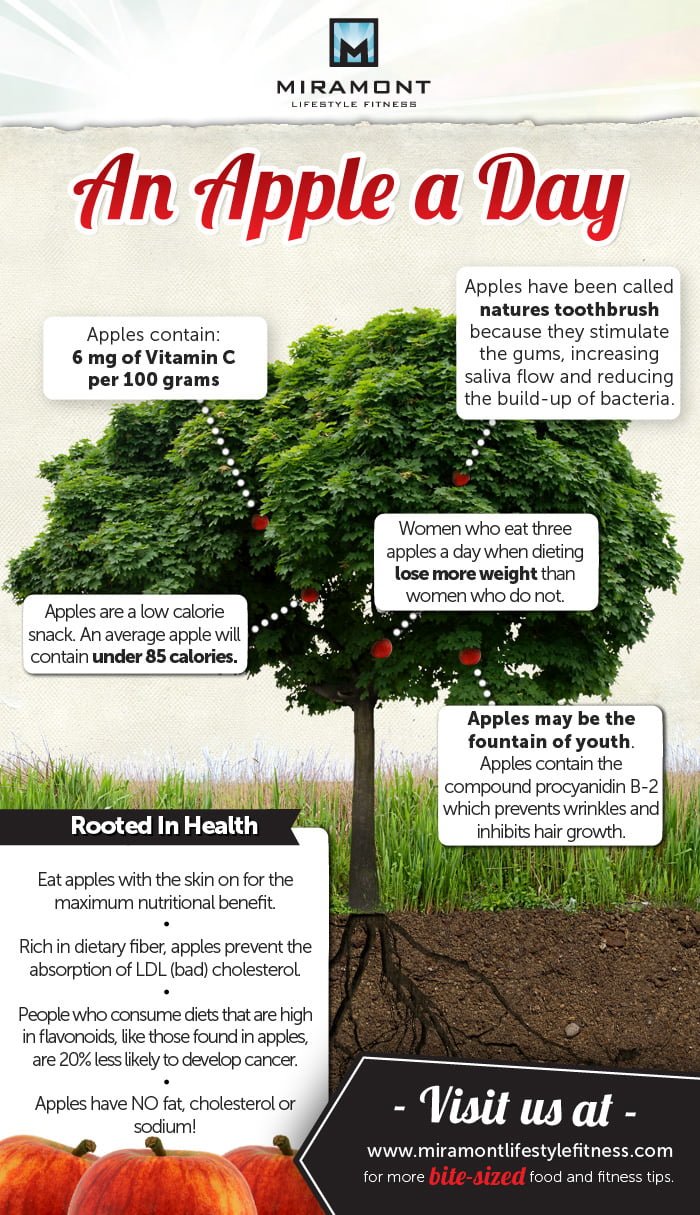 An Apple a Day Infographic