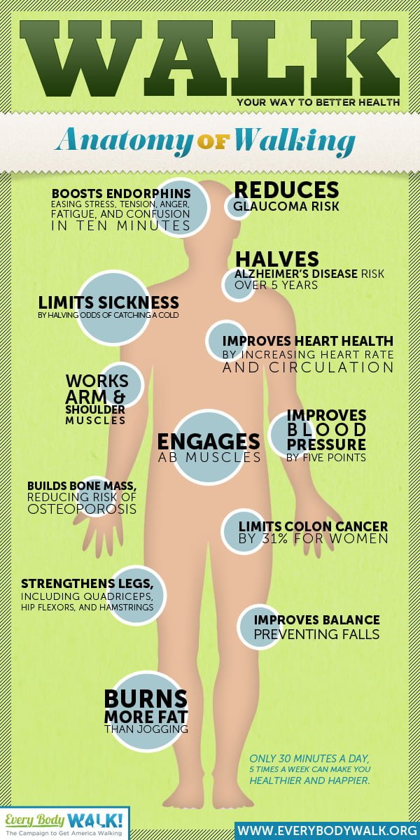 Anatomy of Walking Infographic