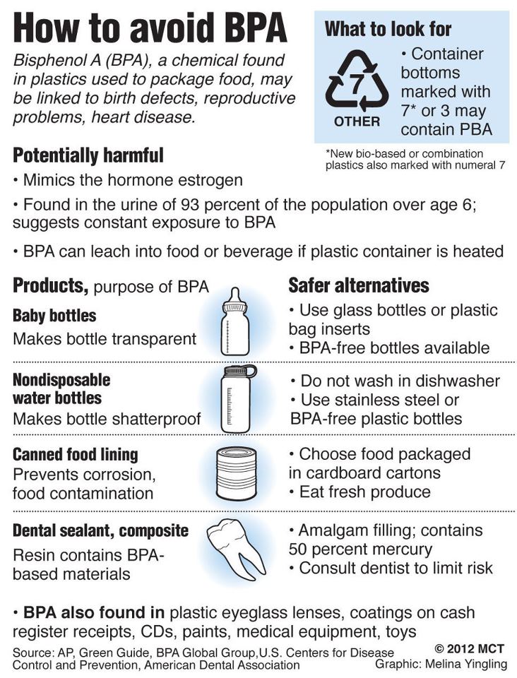 BPA free infographic