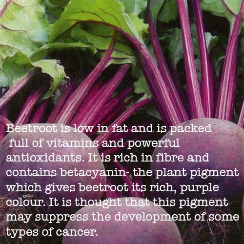Beetroot For Cancer