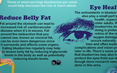 Benefits Of Blueberries Infographic F