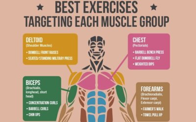 Best Exercises For Each Muscle Group