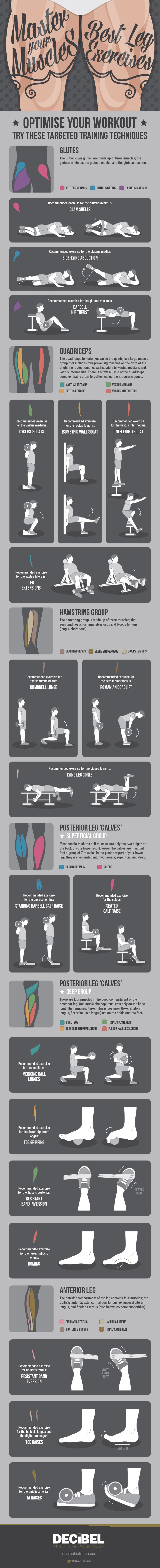 Best Leg Exercises Infographic