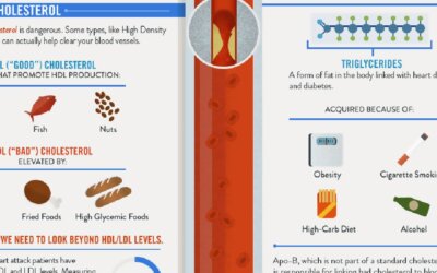 Blood Infographic F