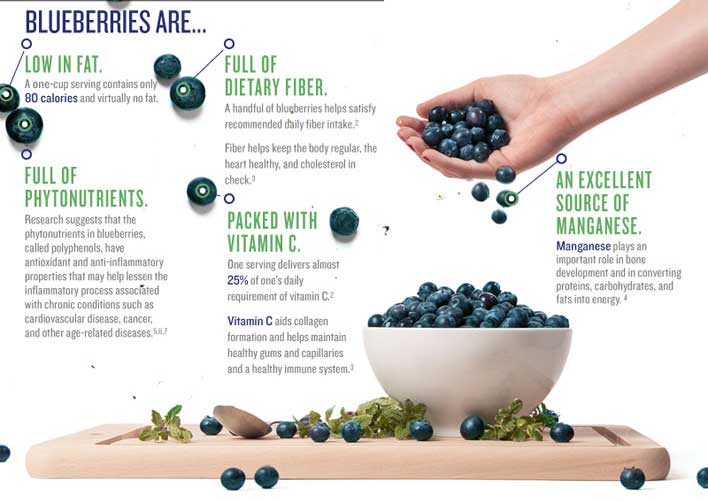 Blueberries For Breakfast
