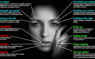 Body Language Infographic F
