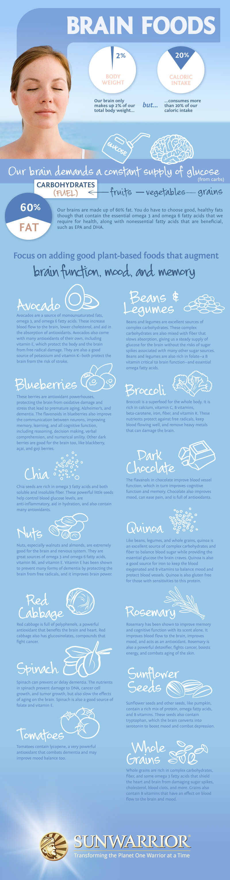 Brain Foods Infographic