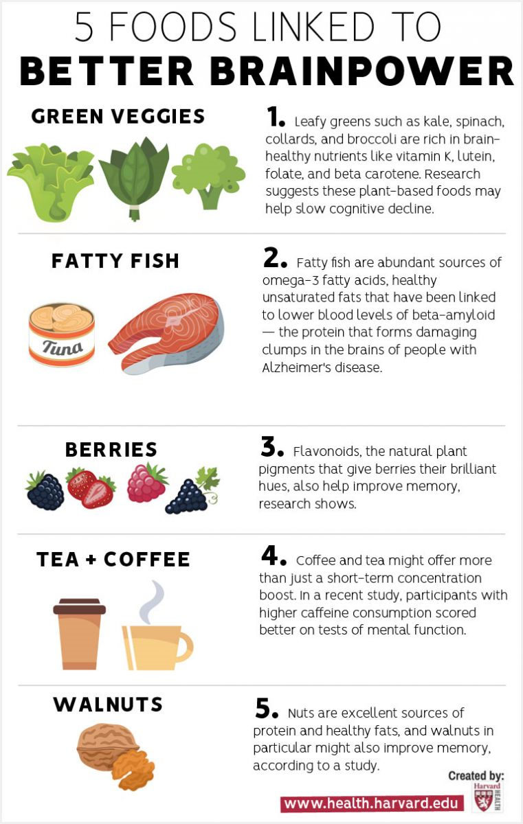 Brain Foods Infographic