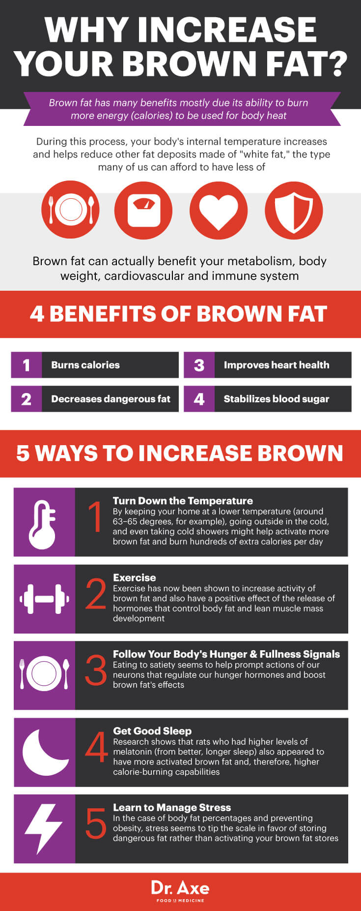 Brown Fat Infographic