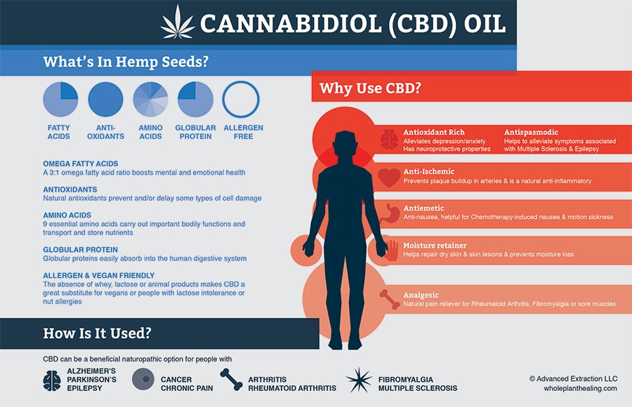 CBD 101: An Introduction to Cannabidiol