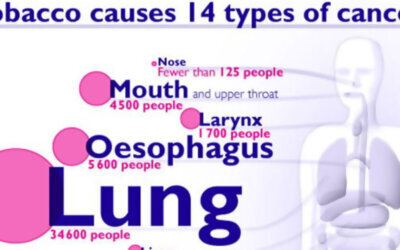 Cancers Caused By Smoking Infographic F