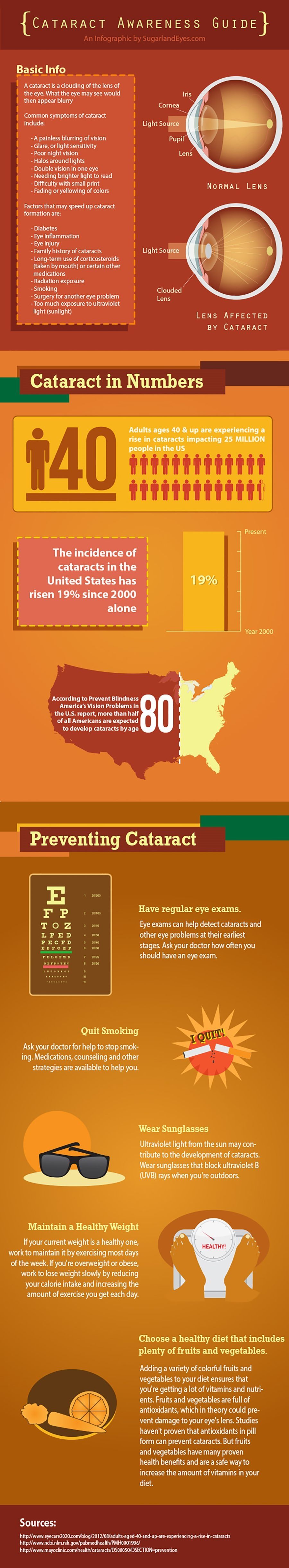 Cataract Awareness Infographic
