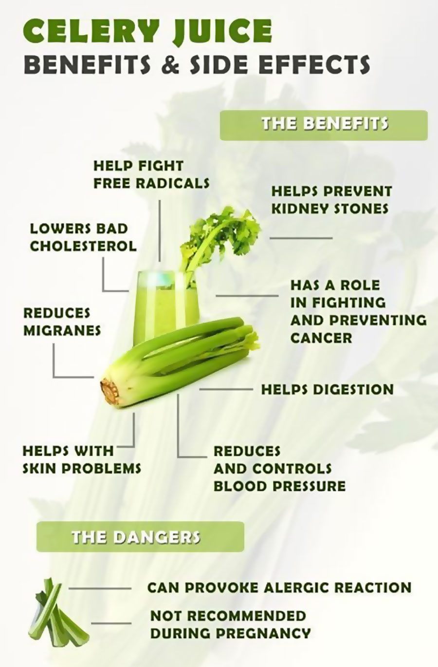 Celery Juice Benefits Infographic