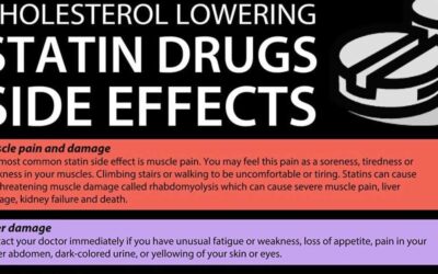 Cholesterol Lowering Statin Drugs Infographic