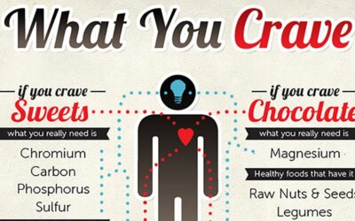 Cravings Infographic