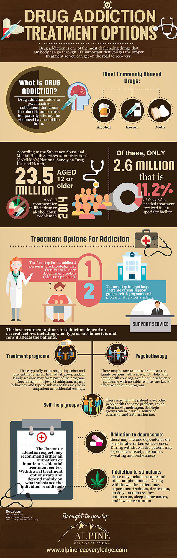 Drug Addiction Treatment Options Infographic