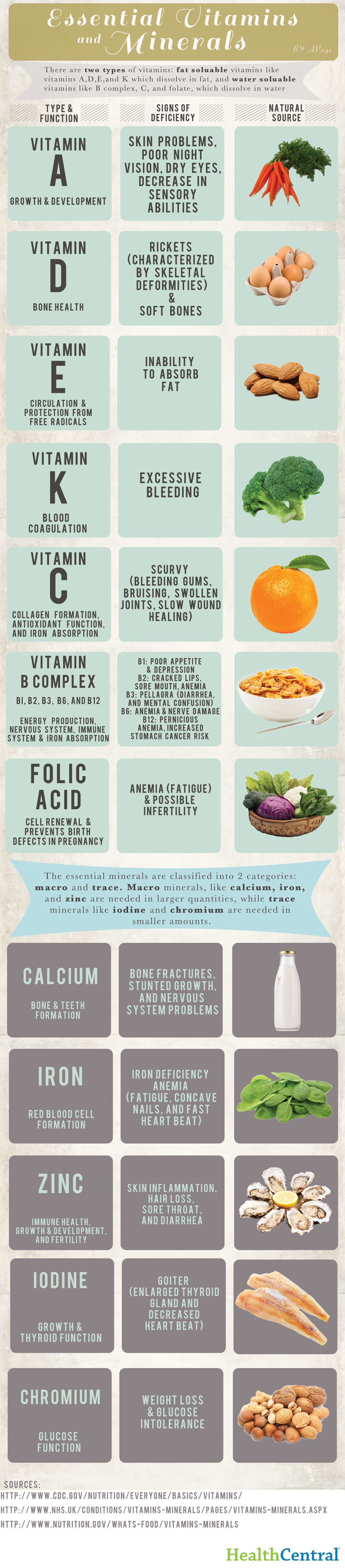 Essential Vitamins and Minerals Infographic