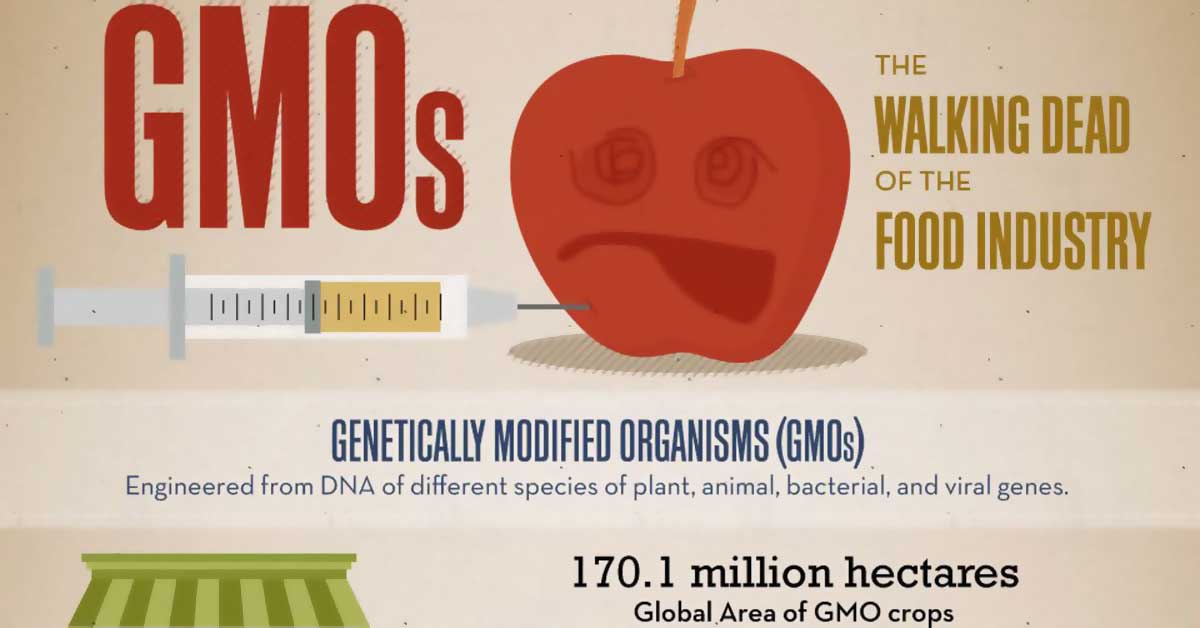 Genetically Modified Organisms Infographic F