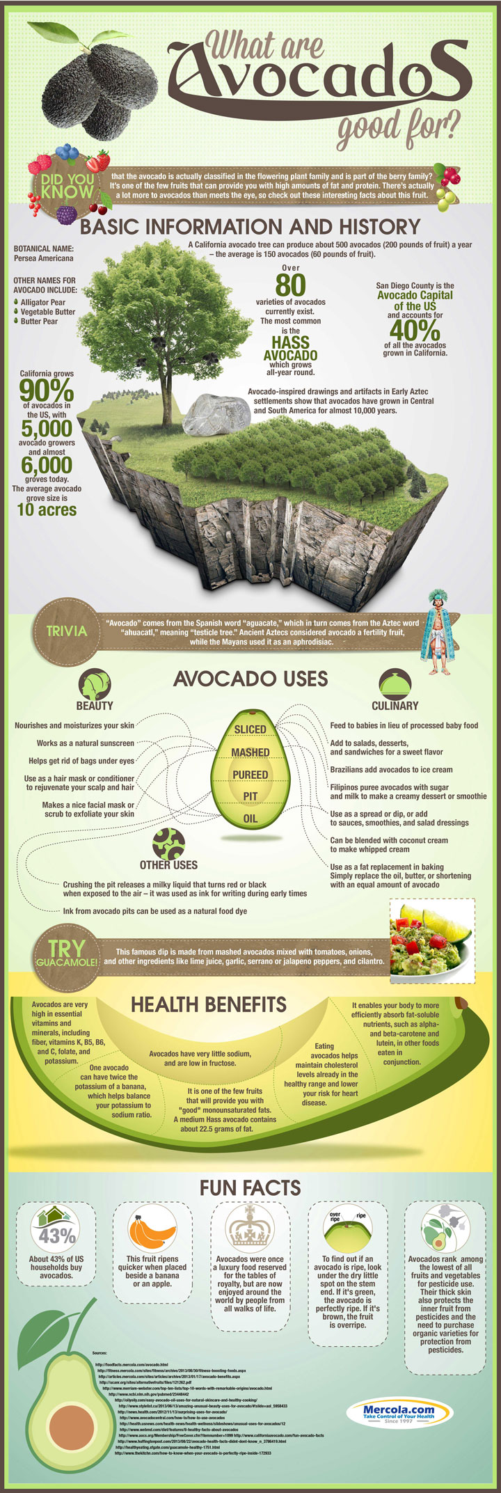 Health Benefits Of Avocados