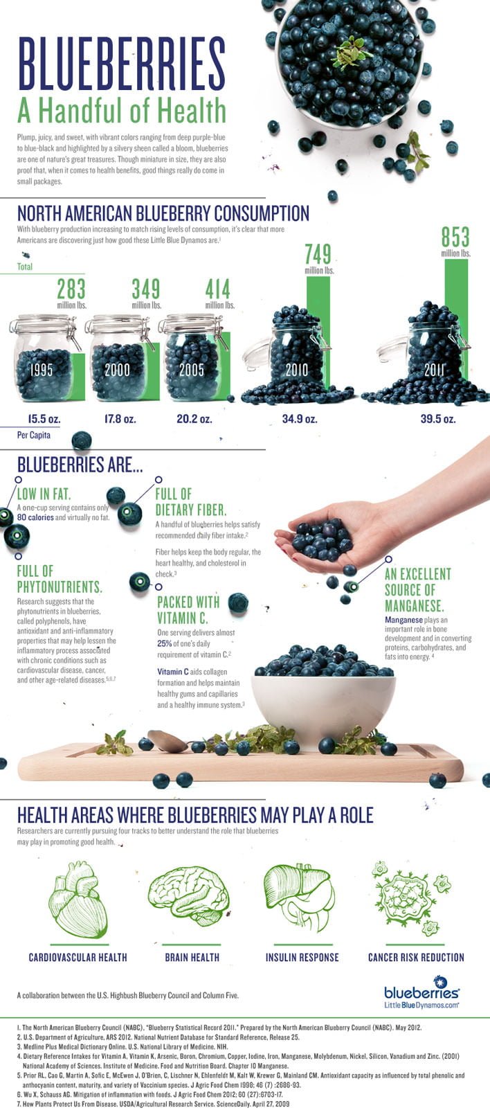 Health Benefits of Blueberries Infographic