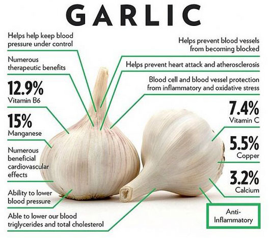 Health Benefits Of Garlic 