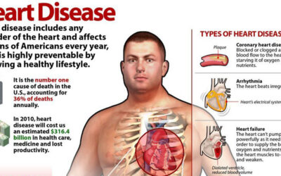 Heart Disease Infographic F