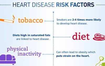 Heart Disease Risk Factors And Prevention Infographic F