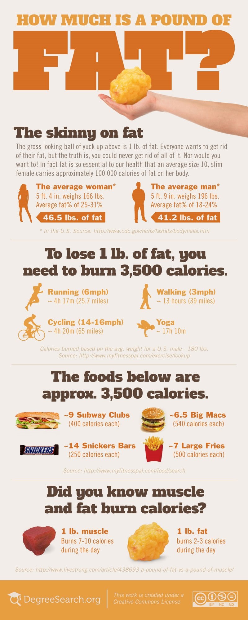 How Much is a Pound of Fat Infographic