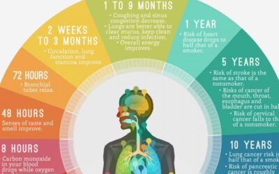 How Quitting Smoking Changes Your Body Infographic F