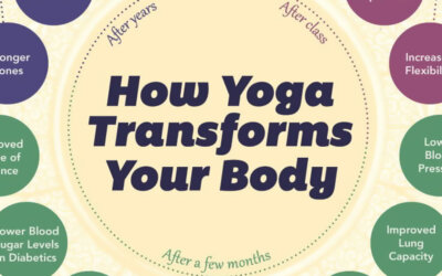 How Yoga Changes Your Body Infographic F