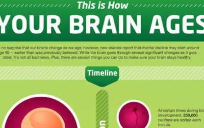 How Your Brain Ages Infographic F