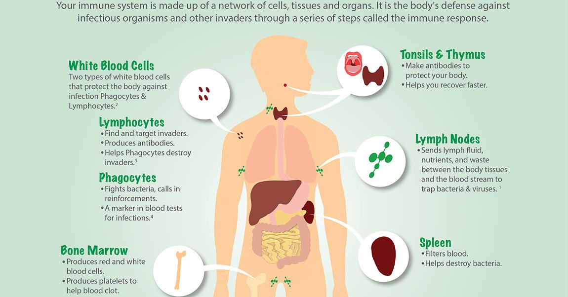 Infographics A Health Blog