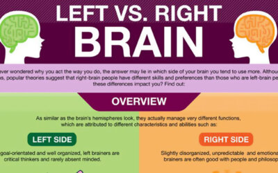 Left Vs Right Brain Infographic F
