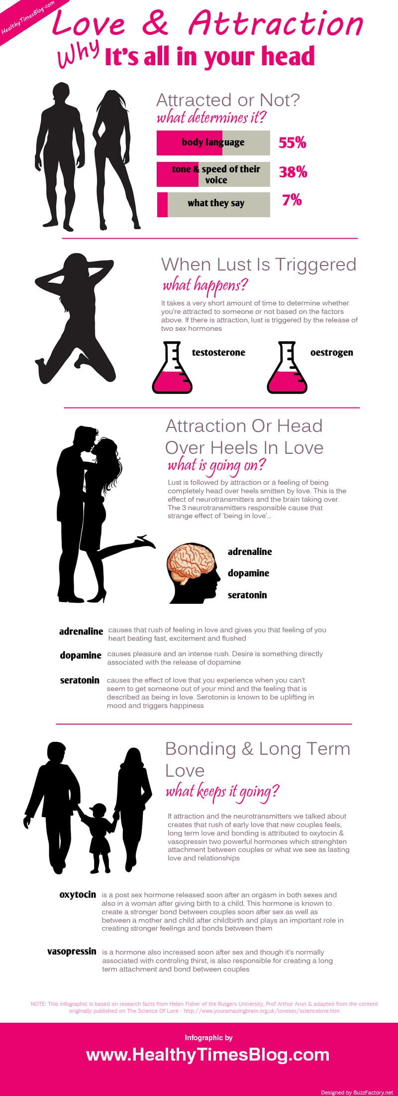 Love And Attraction Infographic