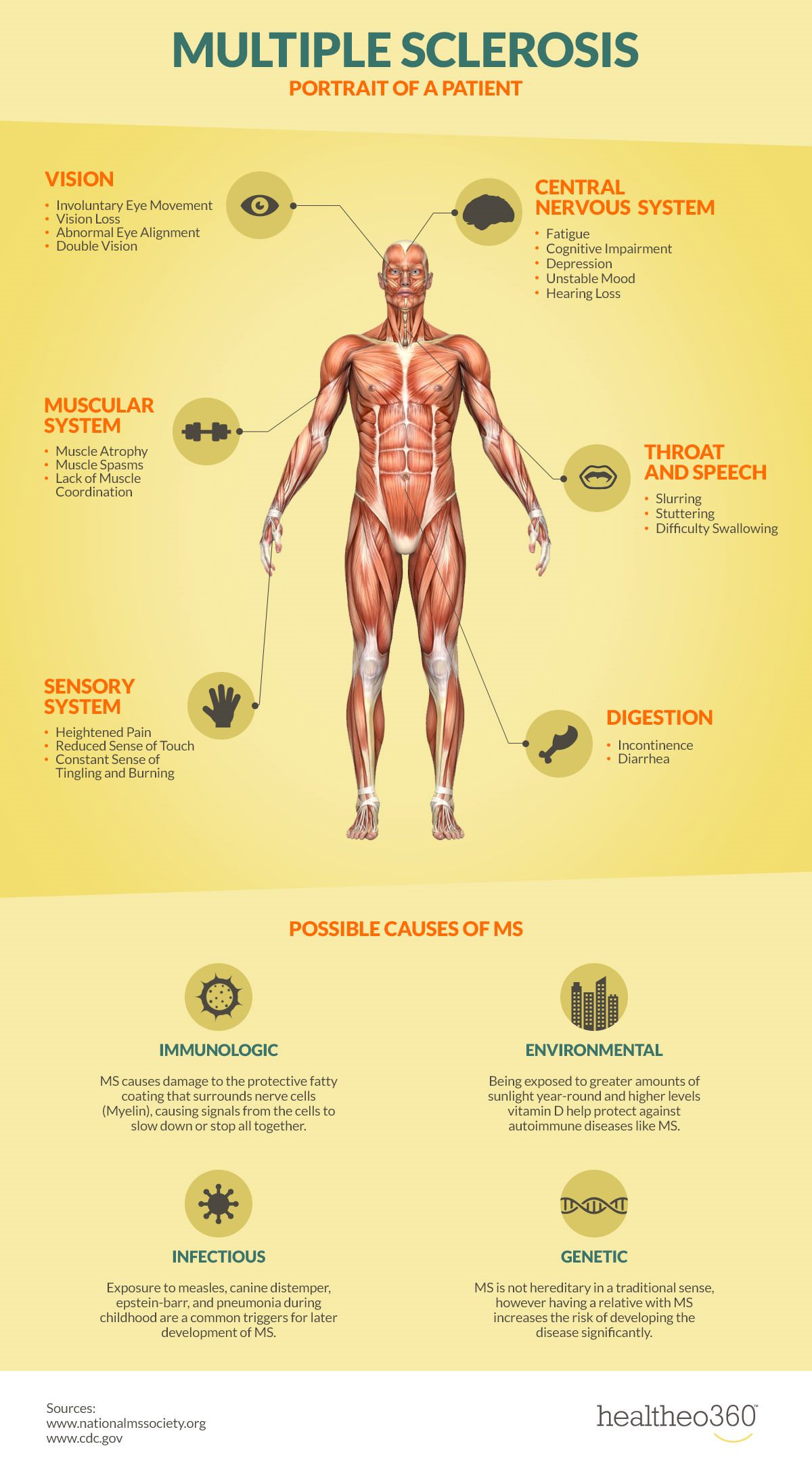 Multiple Sclerosis Infographic