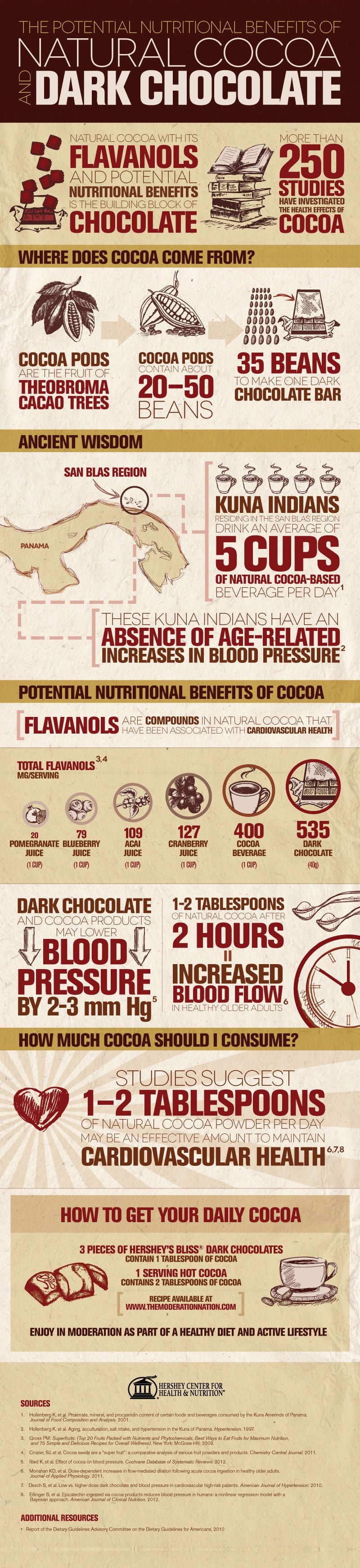 Natural Cocoa And Dark Chocolate Infographic