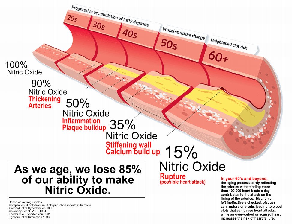 Nitric Oxide Infographic