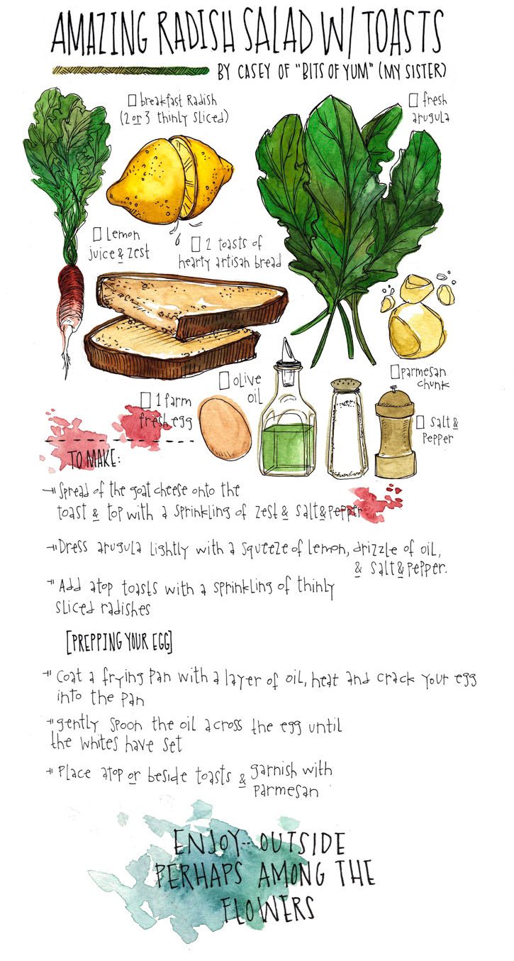 An Illustrated Guide to Radishes