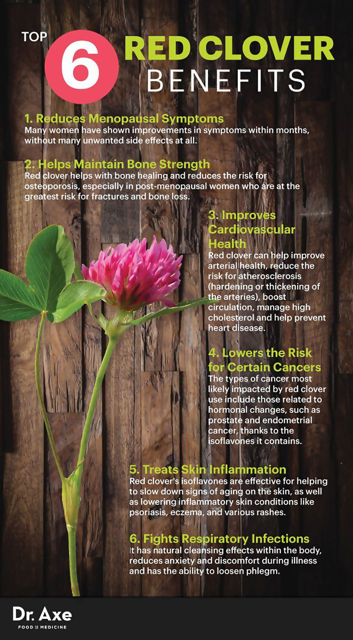 Red Clover Benefits