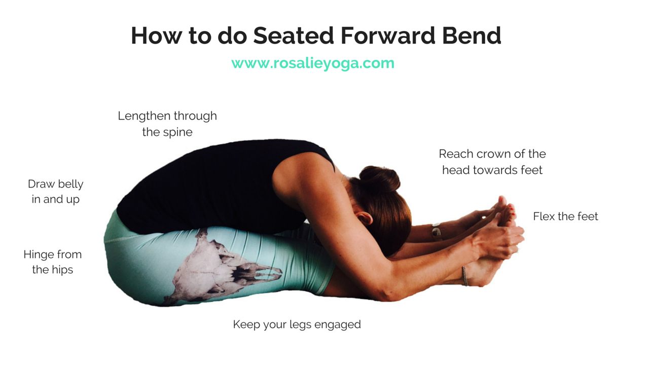 Seated Forward Fold