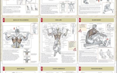 Strength Training for the Back Chart