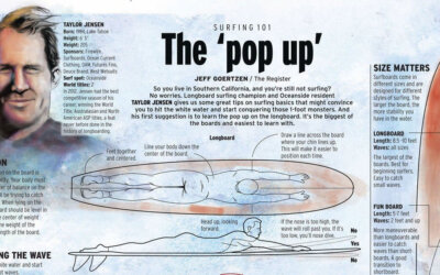 Surfing 101 Infographic F