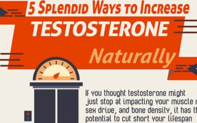 Testosterone Levels F