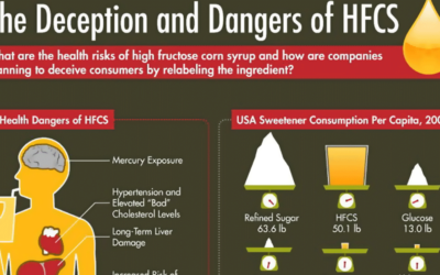 The Dangers Of High Fructose Corn Syrup Infographic2 F