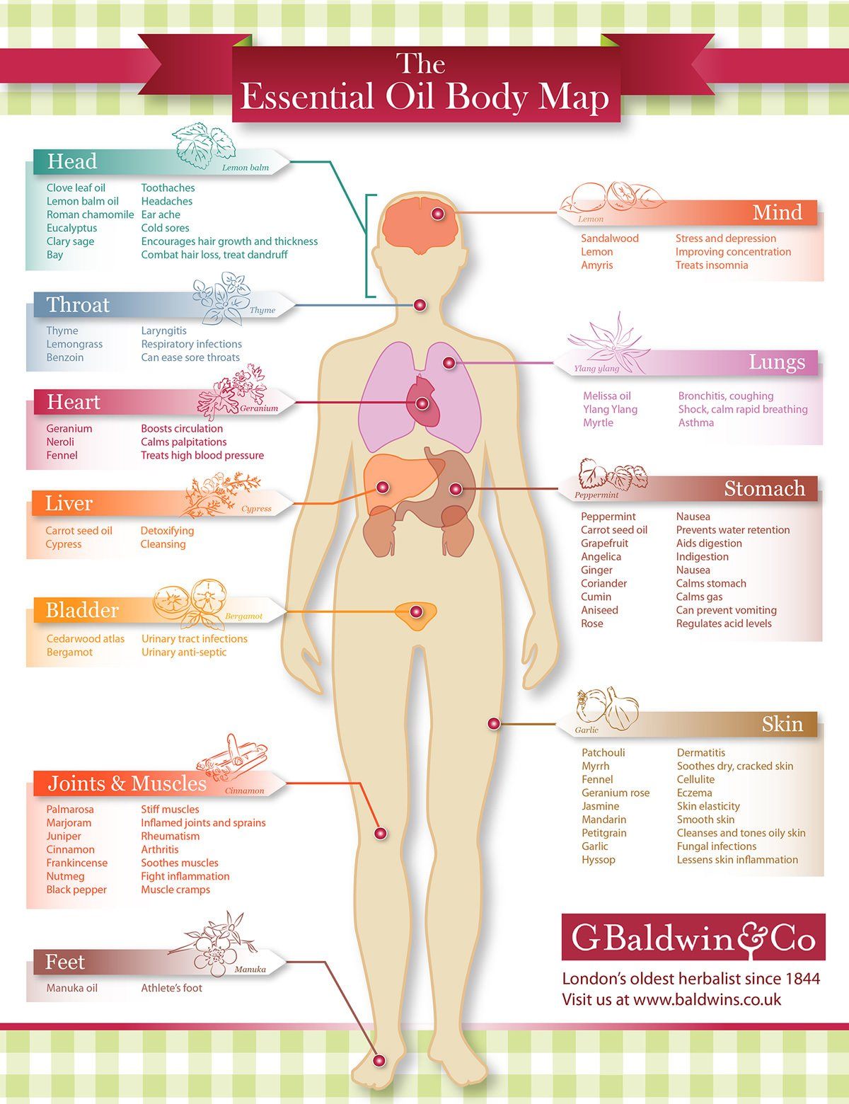 The Essential Oil Body Map Infographic