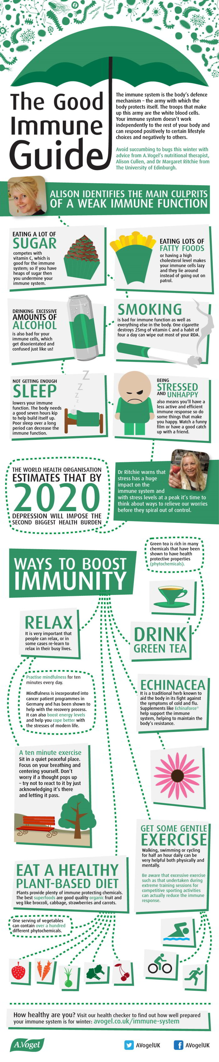 The Good Immune Guide Infographic
