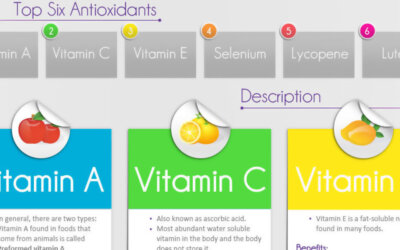 The Handy Guide To Antioxidants Infographic F